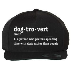 Dogtrovert Funny Sarcastic Dog Lover Wool Snapback Cap