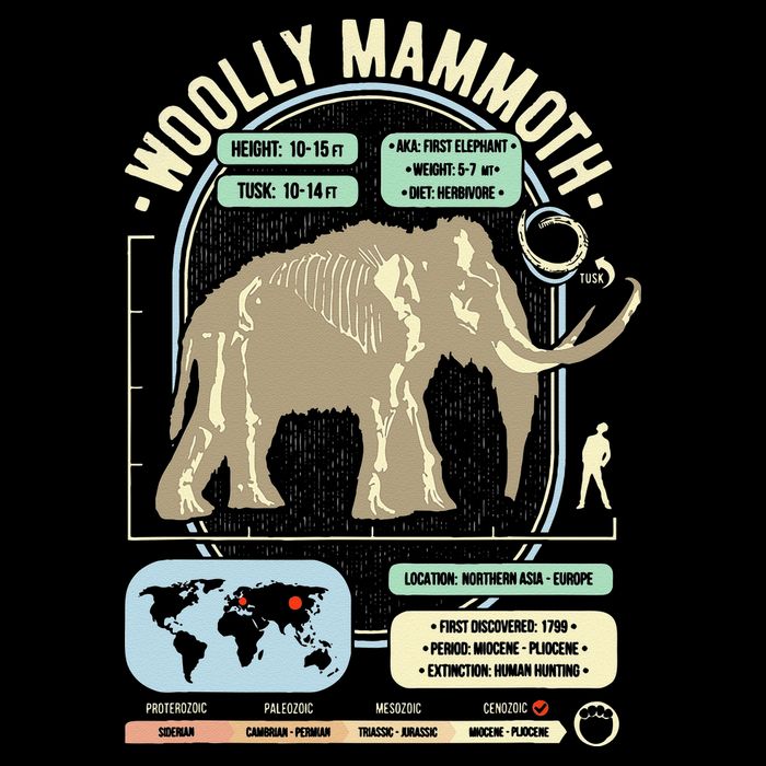 Dinosaur Facts Woolly Mammoth Science & Anatomy Gift Backpack