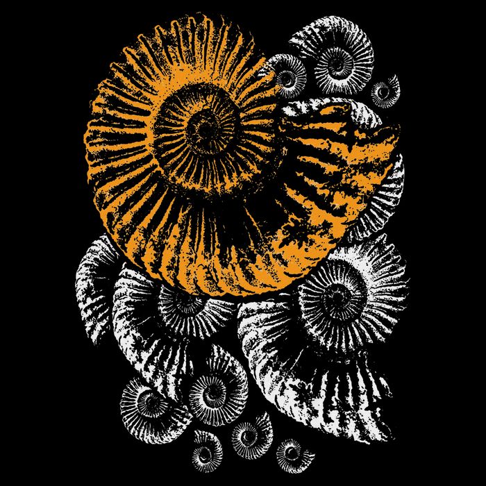 Digger Gifts 4 U Fossils Palaeontologists Fossil Ammonite Mousepad