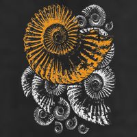 Digger Gifts 4 U Fossils Palaeontologists Fossil Ammonite Trucker Hat