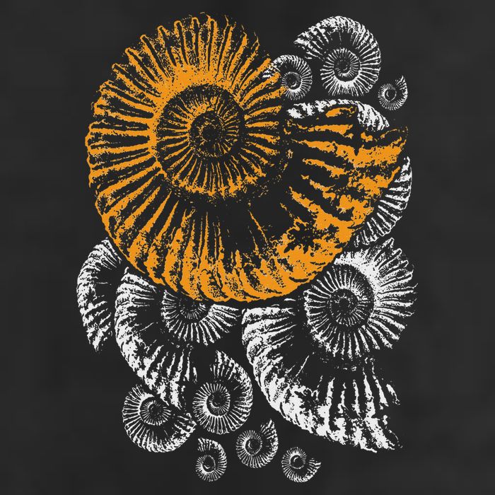 Digger Gifts 4 U Fossils Palaeontologists Fossil Ammonite Trucker Hat