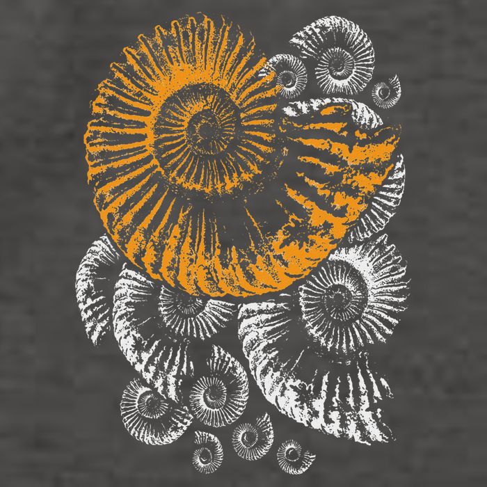 Digger Gifts 4 U Fossils Palaeontologists Fossil Ammonite Vector Backpack