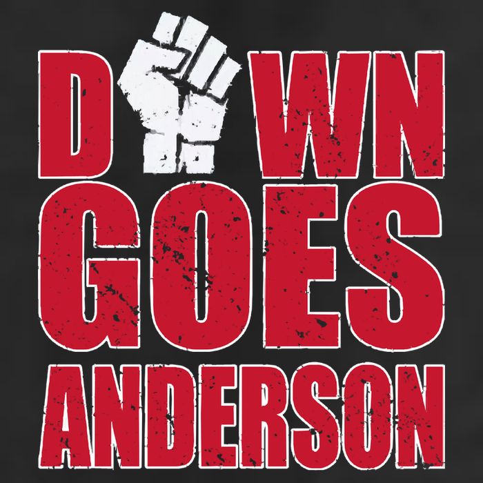 DOWN GOES ANDERSON FUNNY BASEBALL 11oz C Handle Ceramic Mug