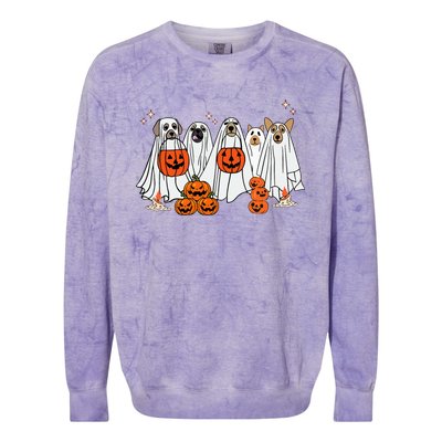 Dog Ghost Cute Dog Dressed As Ghost Funny Halloween Dog Colorblast Crewneck Sweatshirt