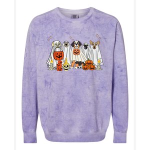 Dog Ghost Cute Dog Dressed As Ghost Funny Halloween Dog Colorblast Crewneck Sweatshirt