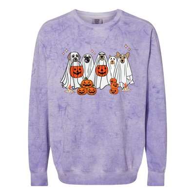 Dog Ghost Cute Dog Dressed As Ghost Funny Halloween Dog Colorblast Crewneck Sweatshirt