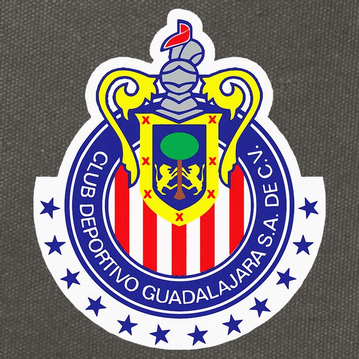 Deportivo Guadalajara Club Supporter Fan Mexico Mexican Cotton Canvas Backpack