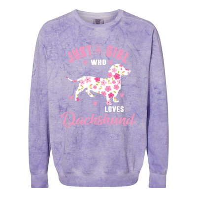 Dachshund Gift Dachshund Lover Gift Colorblast Crewneck Sweatshirt