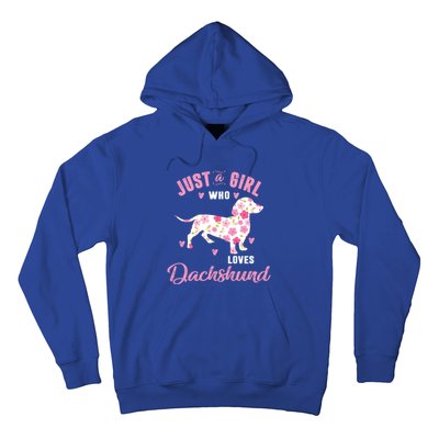 Dachshund Gift Dachshund Lover Gift Hoodie