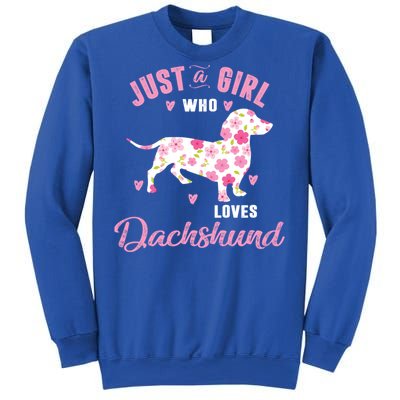 Dachshund Gift Dachshund Lover Gift Sweatshirt