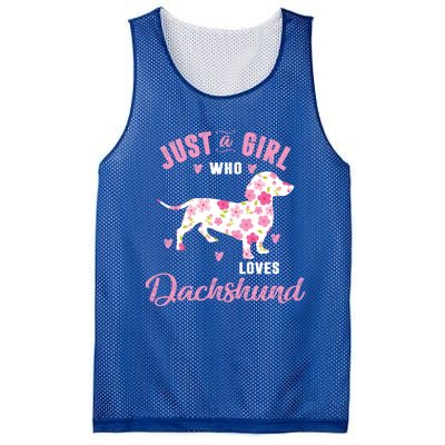 Dachshund Gift Dachshund Lover Gift Mesh Reversible Basketball Jersey Tank