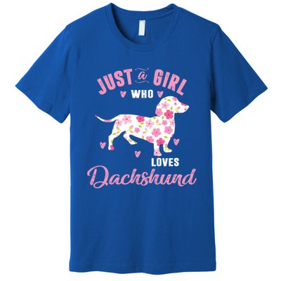 Dachshund Gift Dachshund Lover Gift Premium T-Shirt