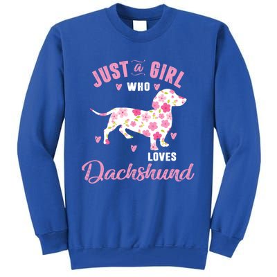 Dachshund Gift Dachshund Lover Gift Tall Sweatshirt