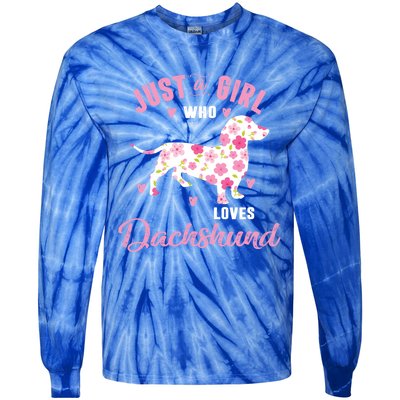 Dachshund Gift Dachshund Lover Gift Tie-Dye Long Sleeve Shirt