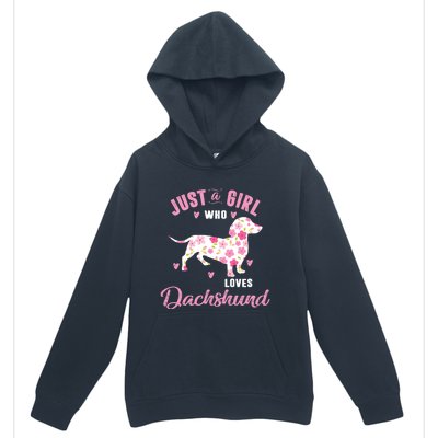 Dachshund Gift Dachshund Lover Gift Urban Pullover Hoodie