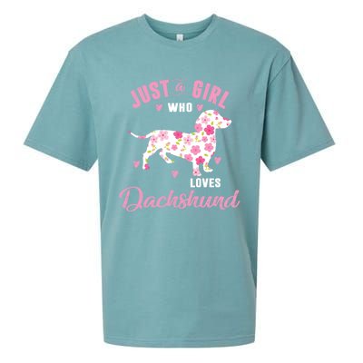 Dachshund Gift Dachshund Lover Gift Sueded Cloud Jersey T-Shirt