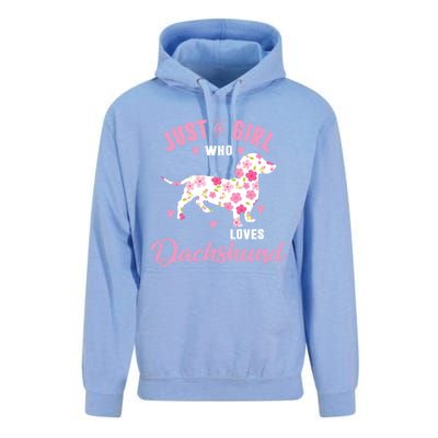 Dachshund Gift Dachshund Lover Gift Unisex Surf Hoodie