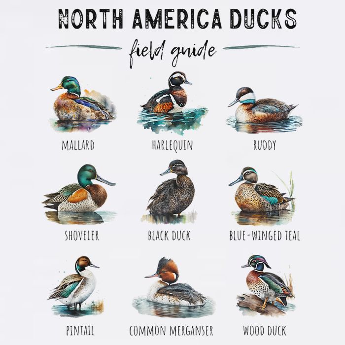 Ducks Guide Duck Lover Duck Guide Hunter Waterfowl Hunting T-Shirt