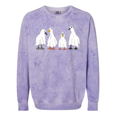 Ducks Ghost Farm Farmer Animal Halloween Costume Colorblast Crewneck Sweatshirt