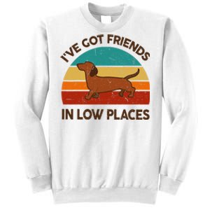 Dachshund Got Friends Low Places Funny WeinerDog Gift Sweatshirt