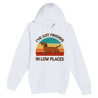 Dachshund Got Friends Low Places Funny WeinerDog Gift Premium Pullover Hoodie