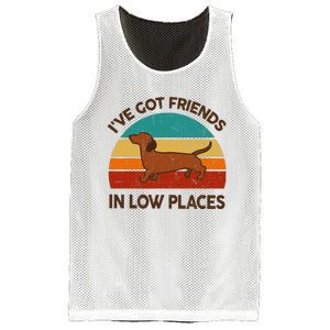 Dachshund Got Friends Low Places Funny WeinerDog Gift Mesh Reversible Basketball Jersey Tank