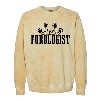 Dog Groomer Furologist Puppy Care Funny Dog Grooming Salon Colorblast Crewneck Sweatshirt