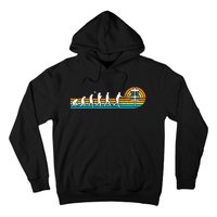 Disc Golf Funny Disc Golf Tee, Disc Golf Player Hoodie