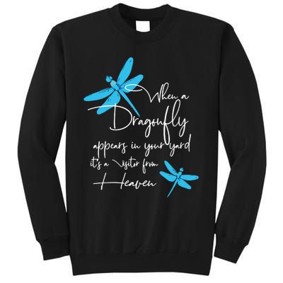 Dragonfly Gift For Spiritual Faith Dragonflies Lovers Sweatshirt