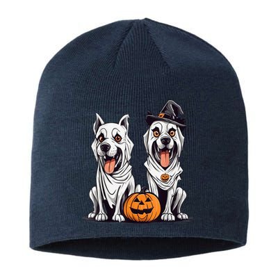 Dog Ghost Funny Halloween Mummy Dog Lover Matching Family Sustainable Beanie