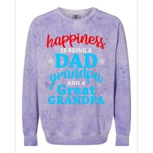 Dad Grandpa Great Grandpa Happiness Is Being A Dad Cute Gift Colorblast Crewneck Sweatshirt