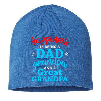 Dad Grandpa Great Grandpa Happiness Is Being A Dad Cute Gift Sustainable Beanie