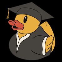 Duck Graduation Gift Women's Crop Top Tee
