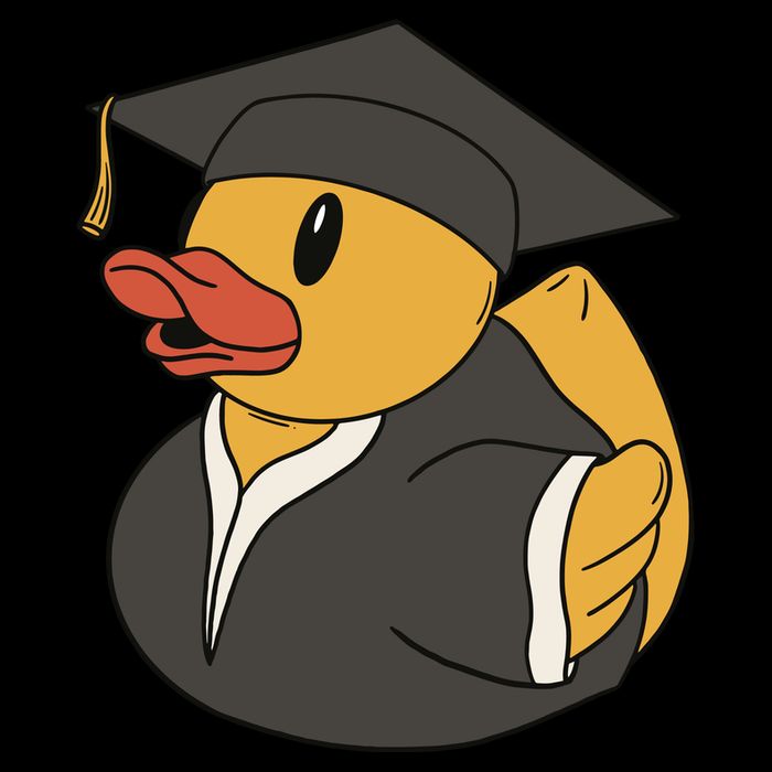 Duck Graduation Gift Women's Crop Top Tee