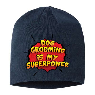 Dog Grooming Is My Superpower Funny Design Dog Grooming Gift Sustainable Beanie