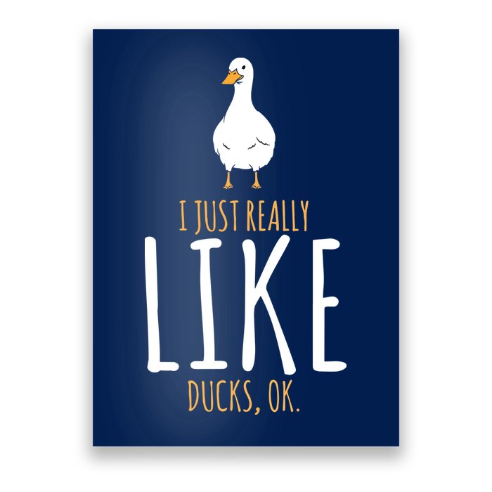 Duck Gifts I Just Really Like Ducks, Ok Poster
