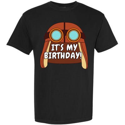 Danny Go! ItS My Birthday! Garment-Dyed Heavyweight T-Shirt