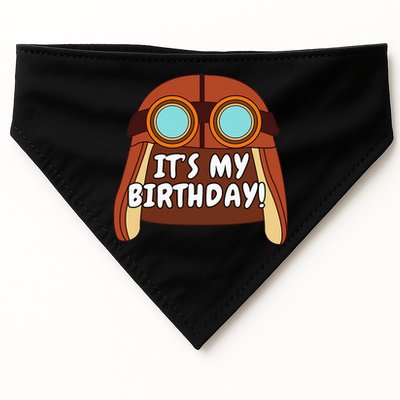 Danny Go! ItS My Birthday! USA-Made Doggie Bandana