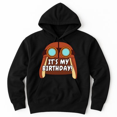 Danny Go! ItS My Birthday! Hoodie