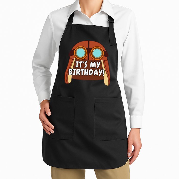 Danny Go! ItS My Birthday! Apron