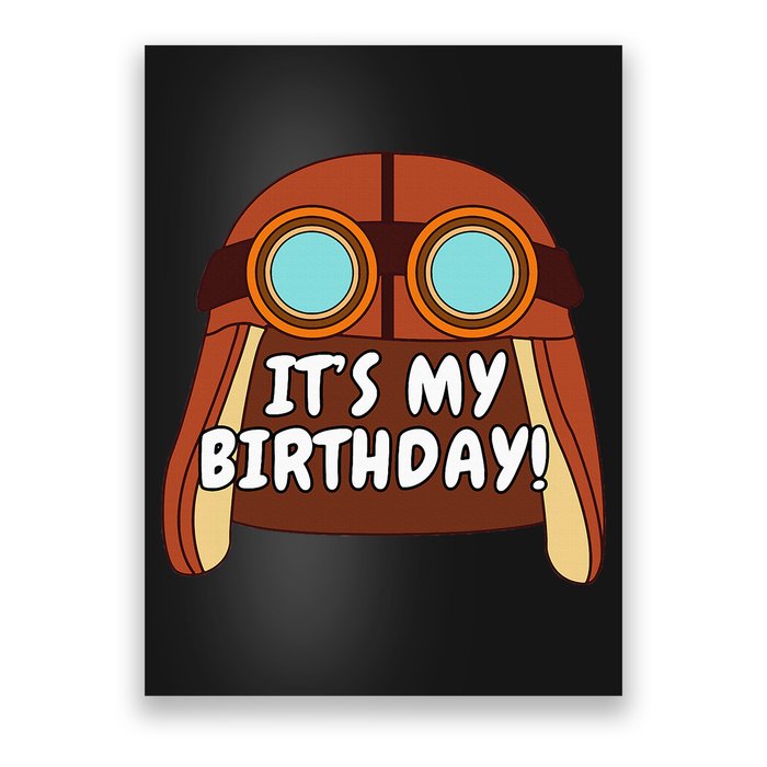 Danny Go! ItS My Birthday! Poster