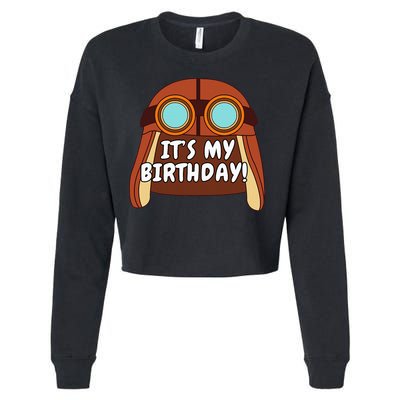 Danny Go! ItS My Birthday! Cropped Pullover Crew