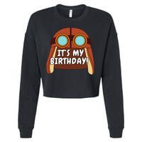 Danny Go! ItS My Birthday! Cropped Pullover Crew