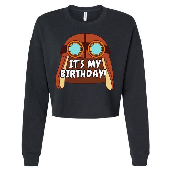 Danny Go! ItS My Birthday! Cropped Pullover Crew