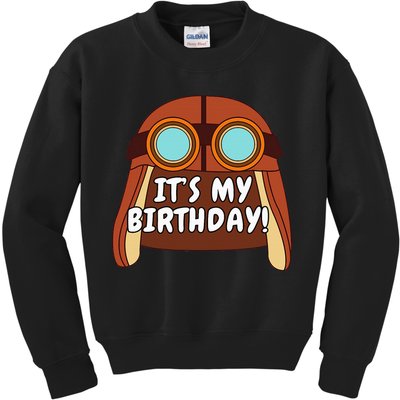 Danny Go! ItS My Birthday! Kids Sweatshirt