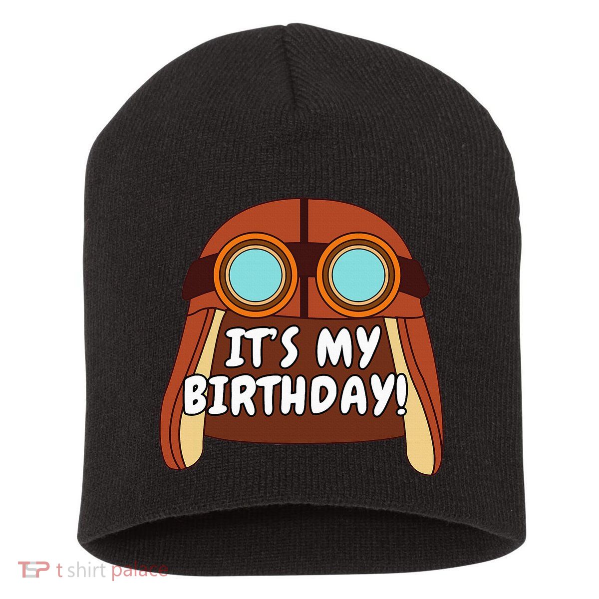 Danny Go! ItS My Birthday! Short Acrylic Beanie