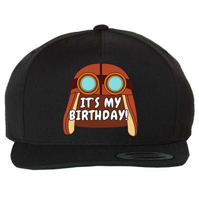 Danny Go! ItS My Birthday! Wool Snapback Cap