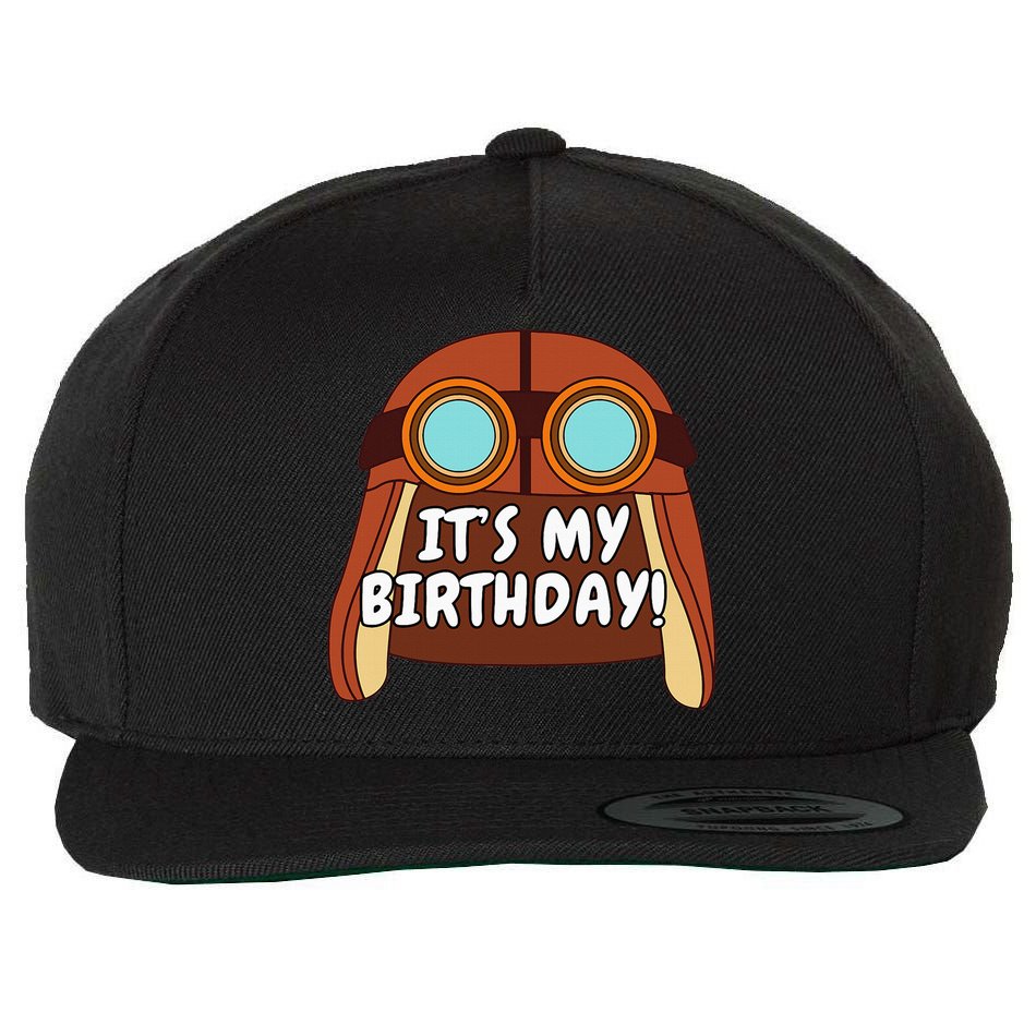 Danny Go! ItS My Birthday! Wool Snapback Cap