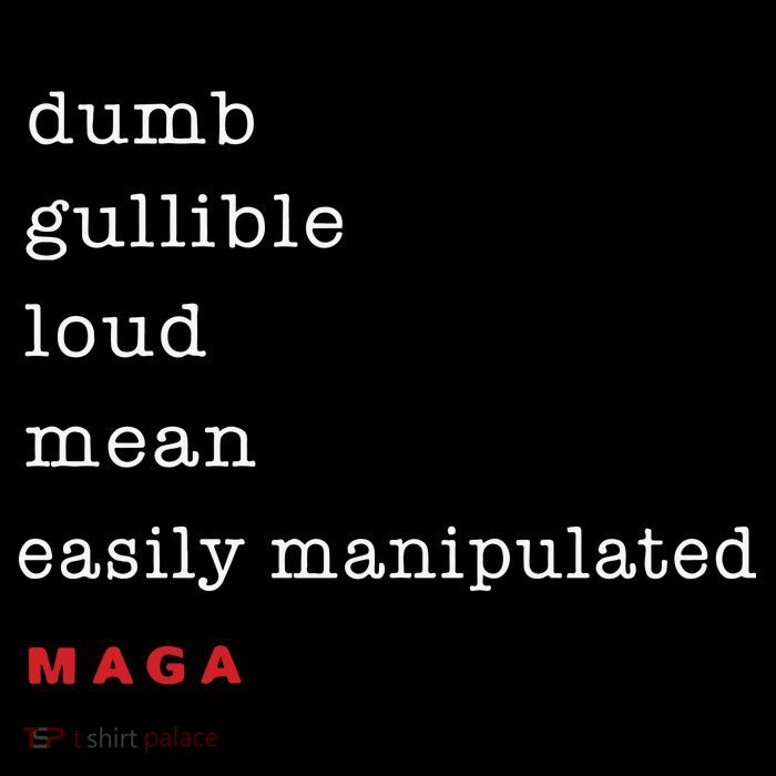 Dumb Gullible Loud Mean Easily Manipulated Maga T-Shirt