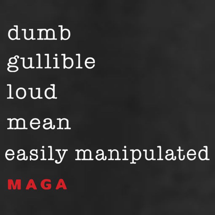 Dumb Gullible Loud Mean Easily Manipulated Maga Premium Pullover Hoodie